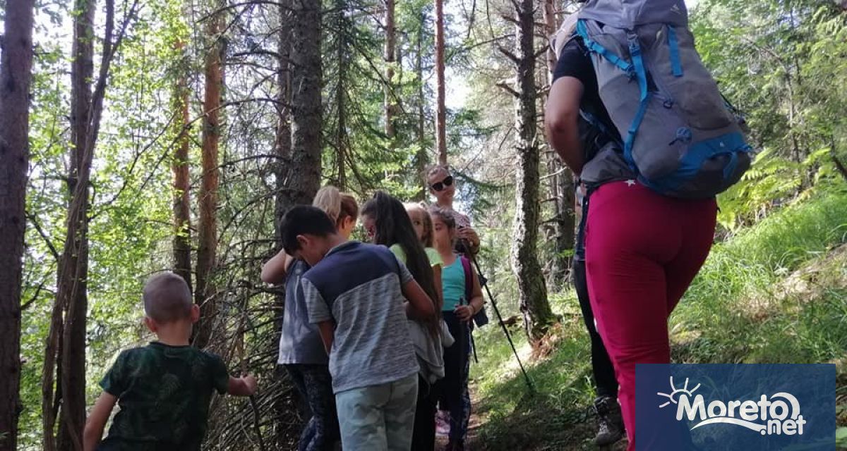 Разнообразни спортни занимания походи излети карнавали клубове по забавна математика