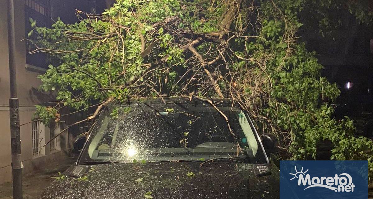 След снощния порой в морската столица голям клон се е