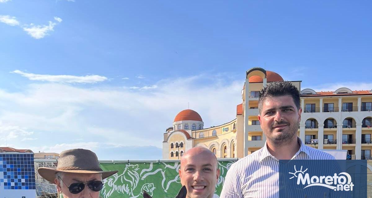 Чаровният бостън териер Кими стана победител Той бе избран за най добър