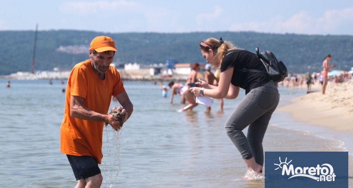 Проблемът със замърсяването на варненския плаж с мокри кърпички след