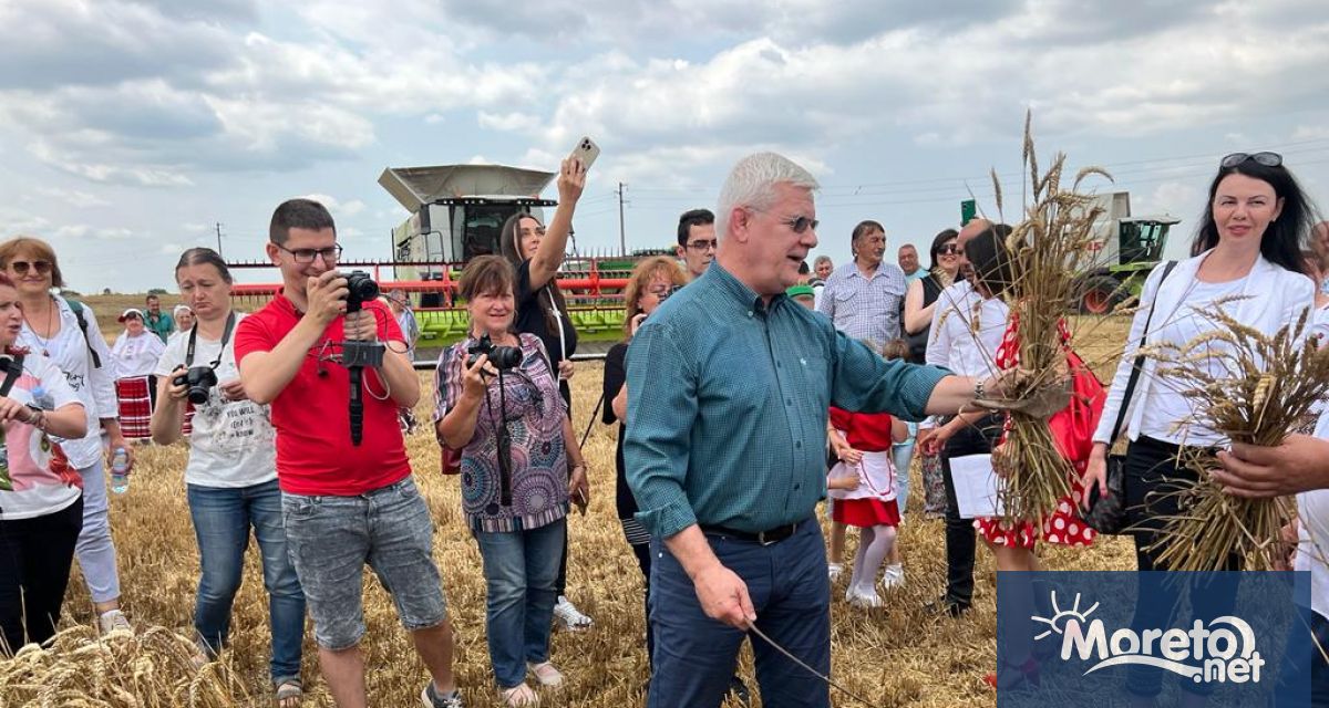 Зърнопроизводството е гордост за България и страната е сред световните