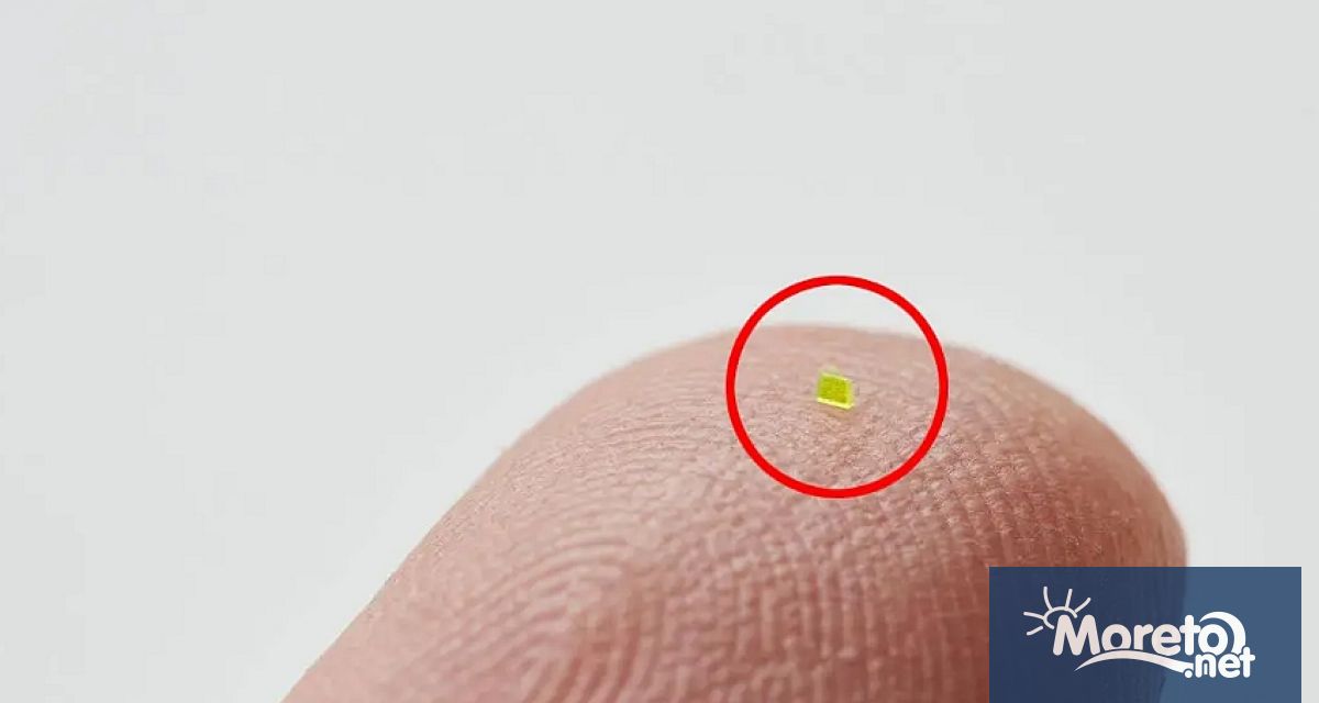 Дамска чанта която е толкова малка че изисква микроскоп за