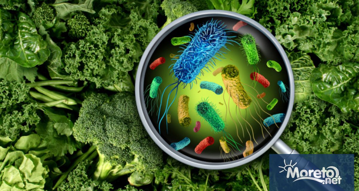 8 души са регистрирани със салмонелоза във Варненско за периода