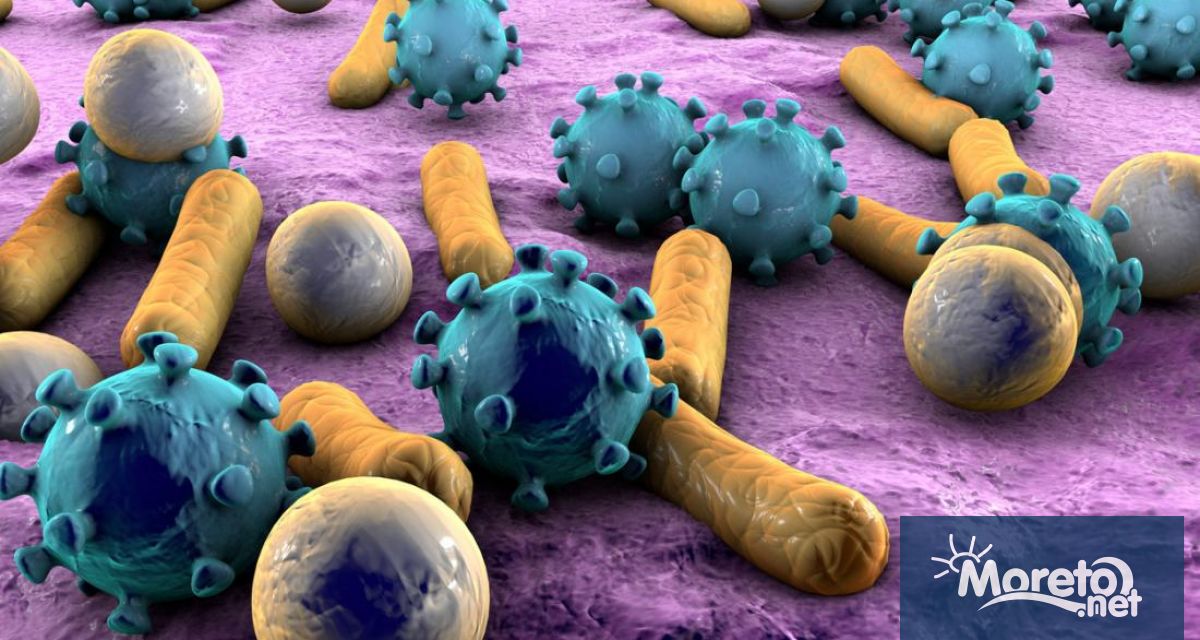 Бактерии и гъбички могат да бъдат открити в и около