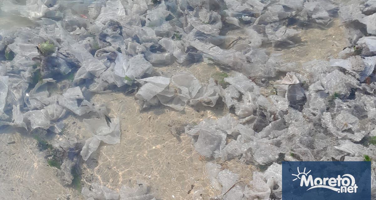 Басейнова дирекция Черноморски район съвместно с РИОСВ – Варна и