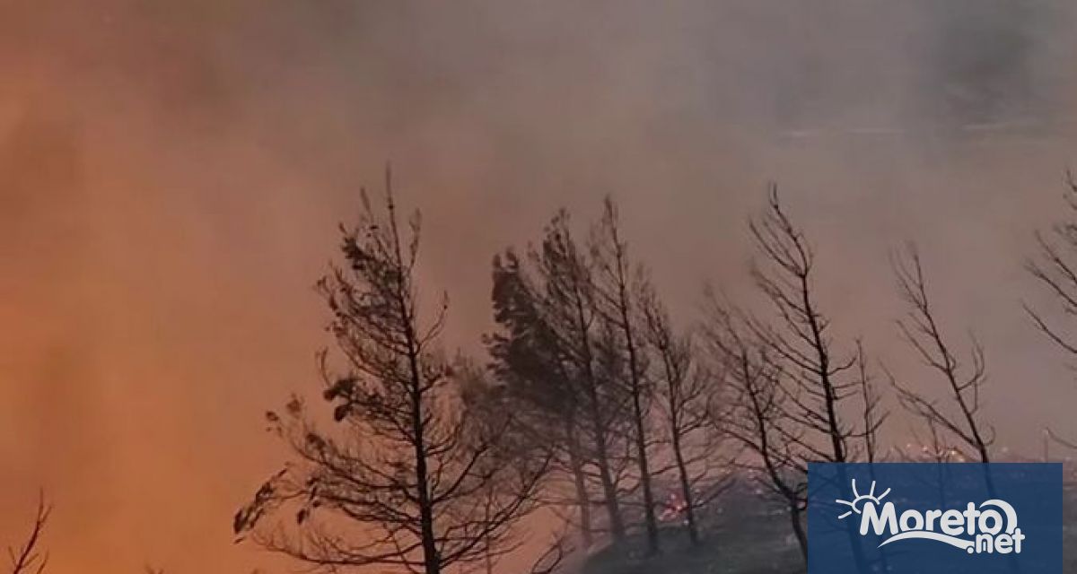 Гърция продължава борбата с пожарите - на Родос определиха ситуацията