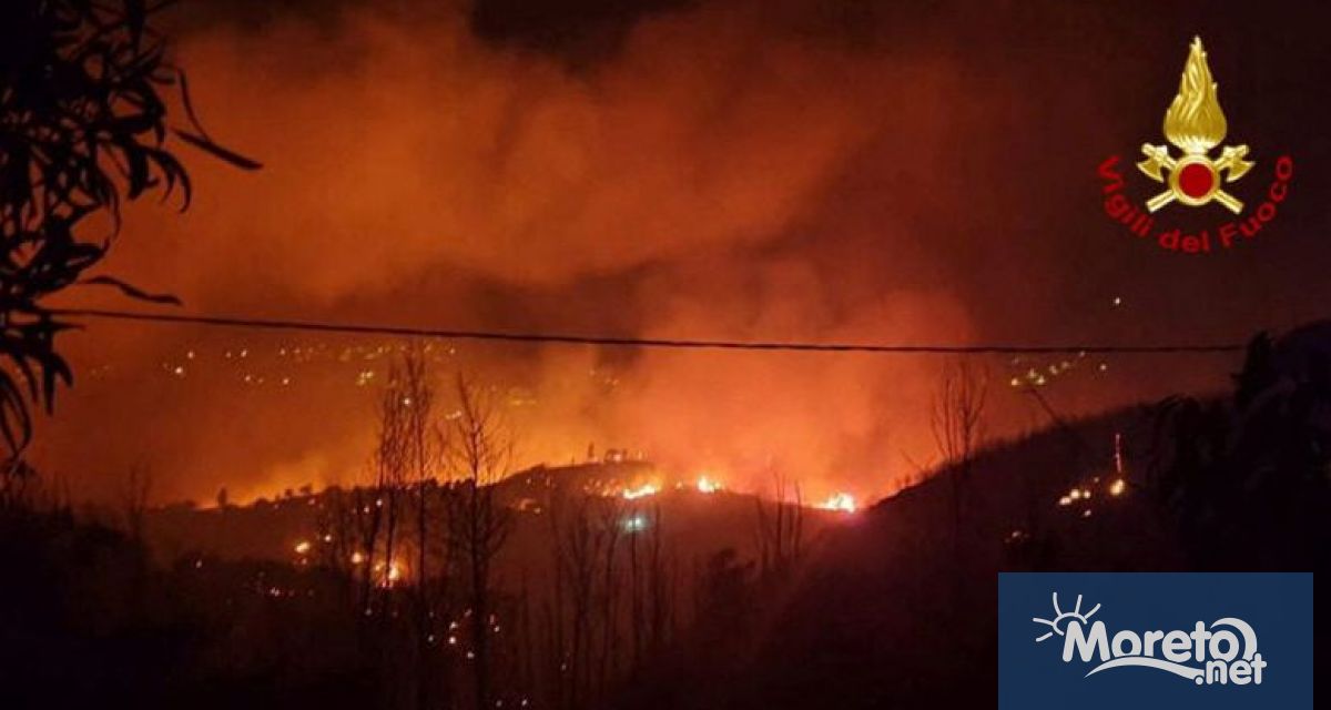 Летището на сицилианския град Палермо беше затворено днес заради горски