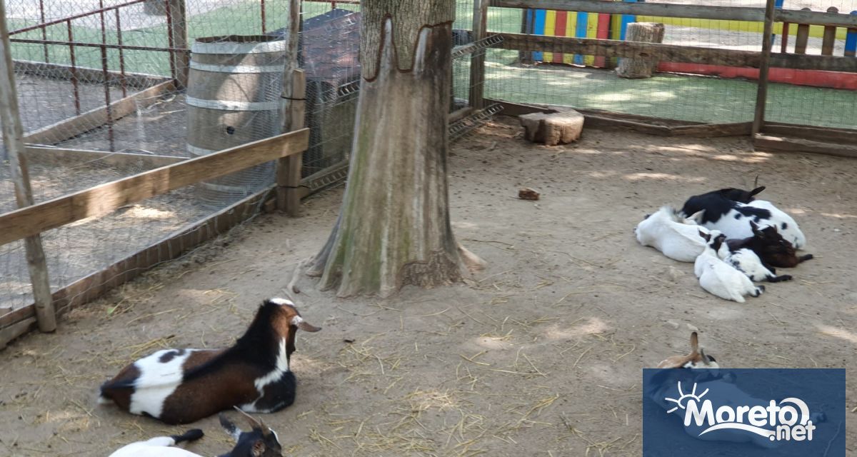 След сигнал от граждани за замърсяване с фекални води на