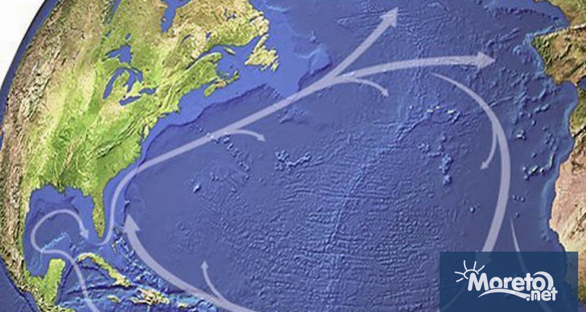 Рецензиран анализ публикуван във вторник в Nature Communications изчисли че