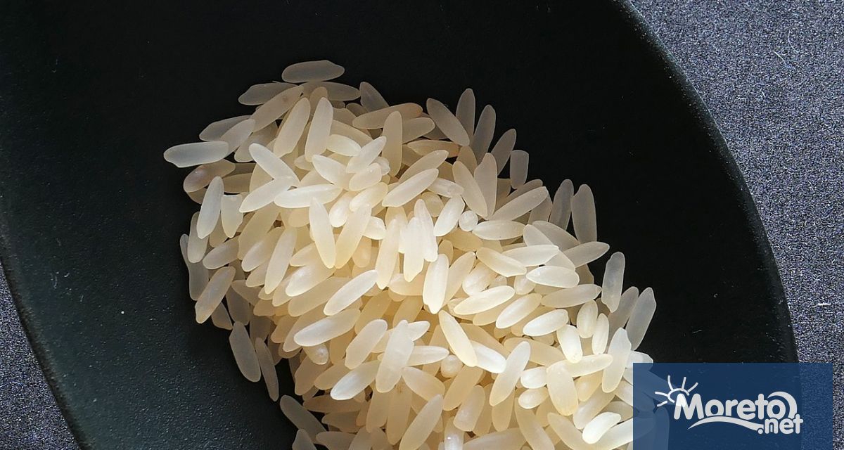 Тайланд, вторият по големина износител на ориз в света ,
