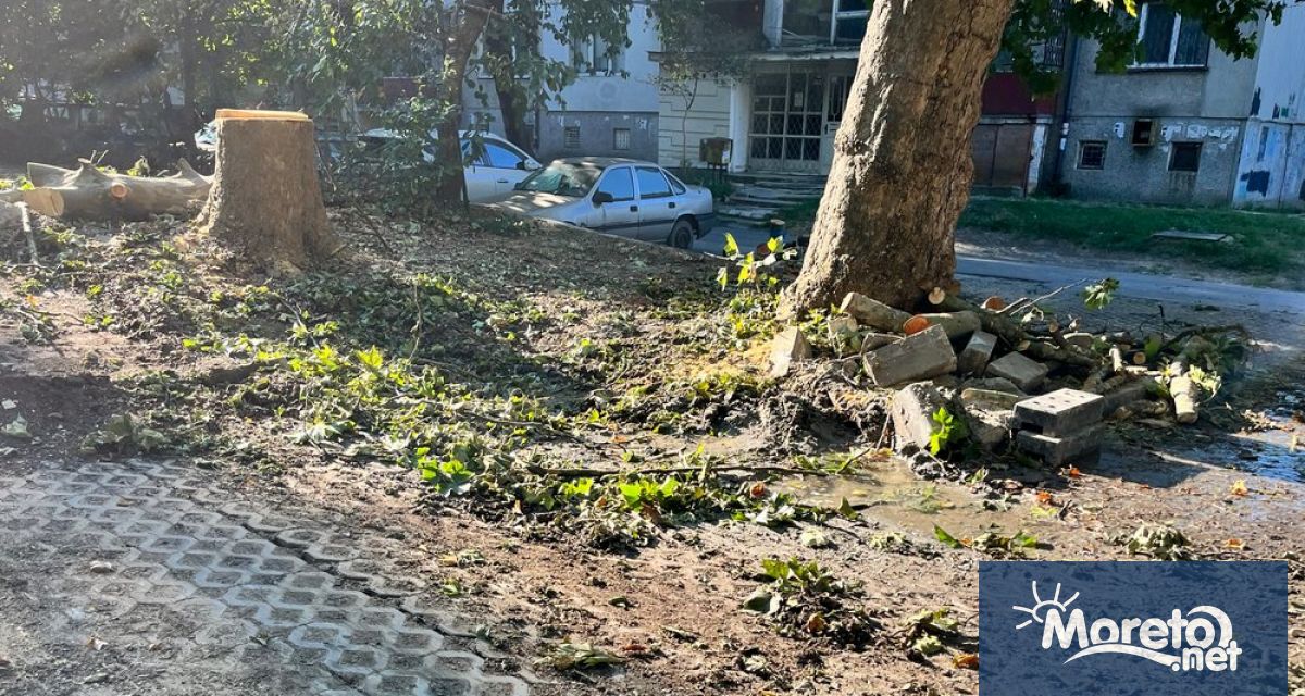 За истински погром след ВиК авария във Варна и намесата на