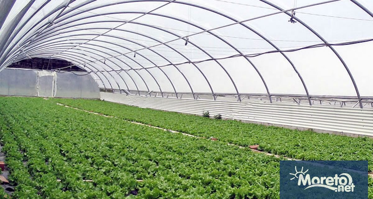 От днес 21 август понеделник до 02 октомври 2023 г