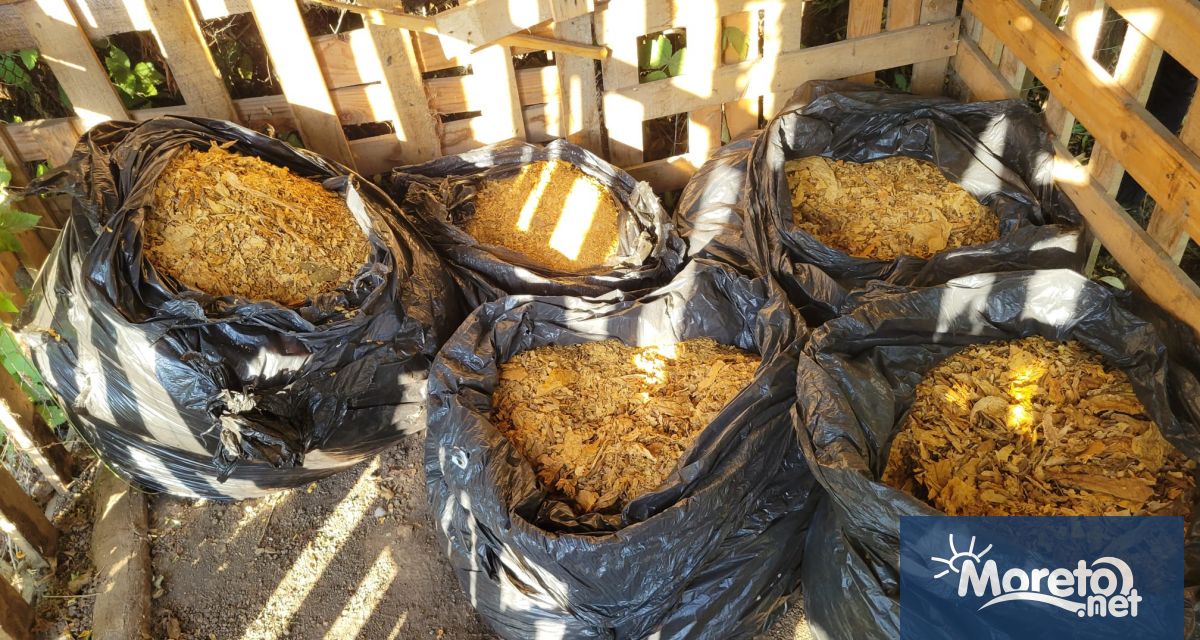 Неутрализирана е международна организирана престъпна група занимавала се с контрабанда