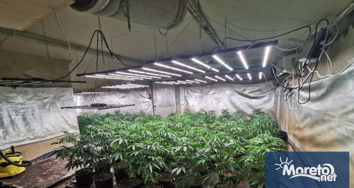 Варненец на 40 години е задържан след бързи оперативни действия