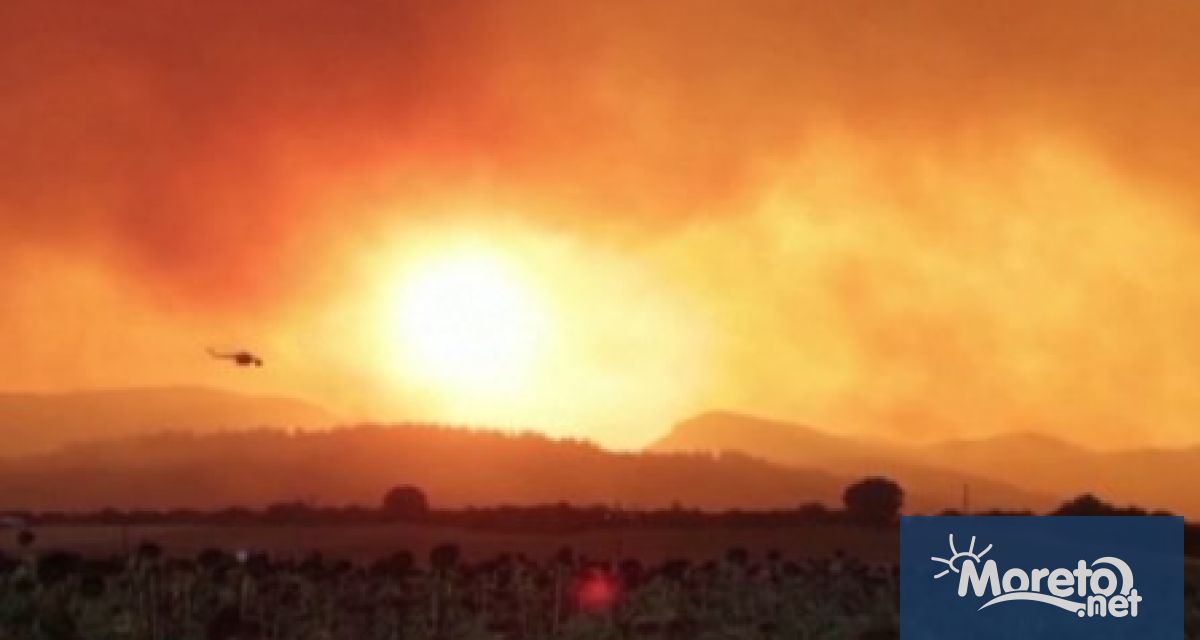 Служители от Регионалната дирекция по горите – Кърджали и Държавно