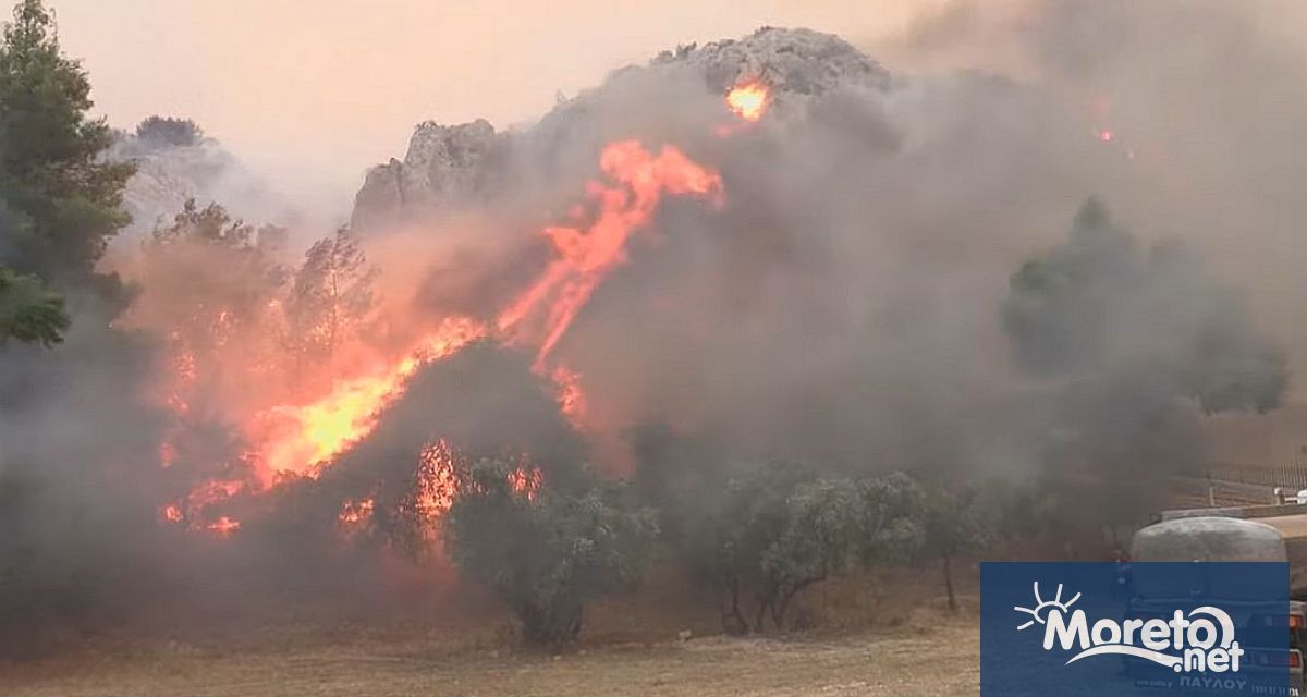 Пожарите в Гърция не стихват През нощта пламна ново огнище