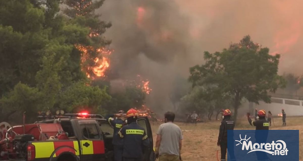 Властите в Гърция вземат мерки за предотвратяване на пожари през