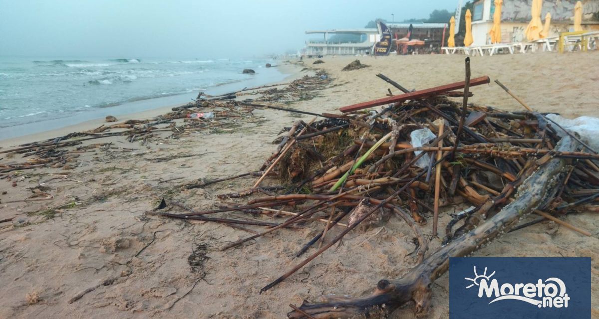 С купища изхвърлени от морето клони и съчки осъмна варненският