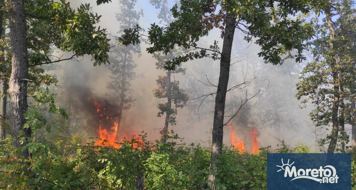 С настъпването на пролетно летния сезон започва почистването на земеделските обработваеми