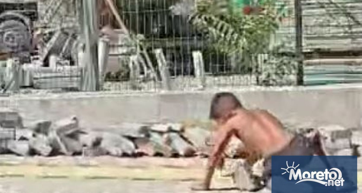 След като Инспекцията по труда се самосезира по публикацията във