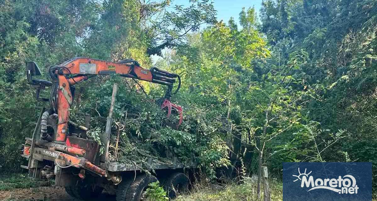 Държавно горско стопанство Варна предприе акция по почистване и осветяване