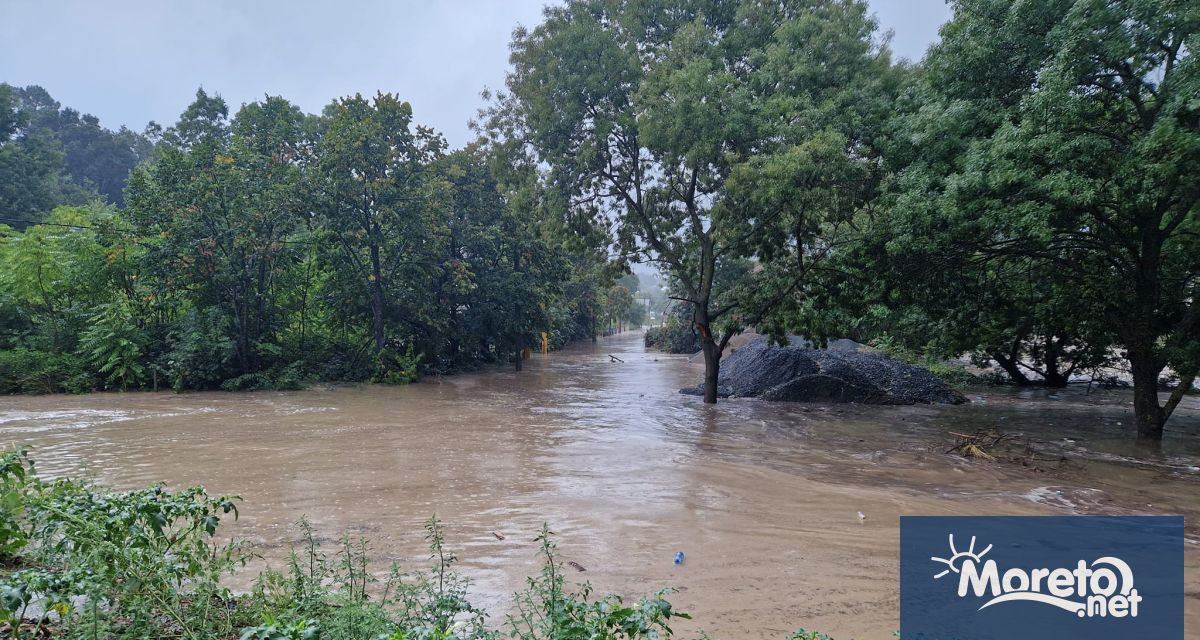 МВР проверява сигнал за изчезнал мъж в района на Лозенец