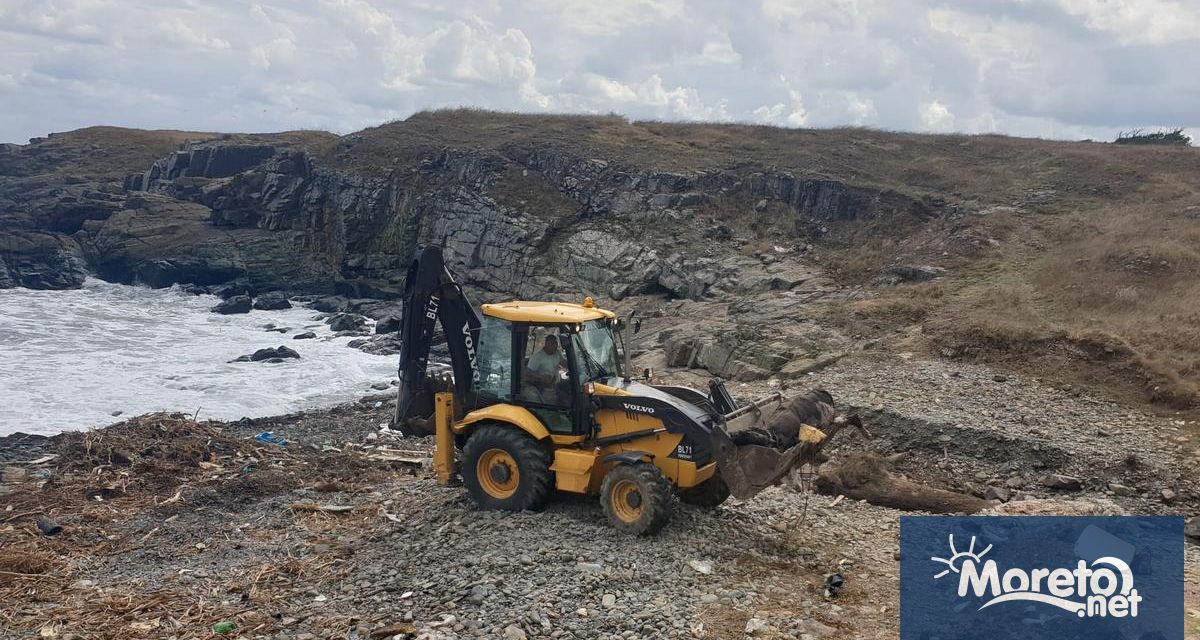 В община Царево се работи по локализирането на едри преживни