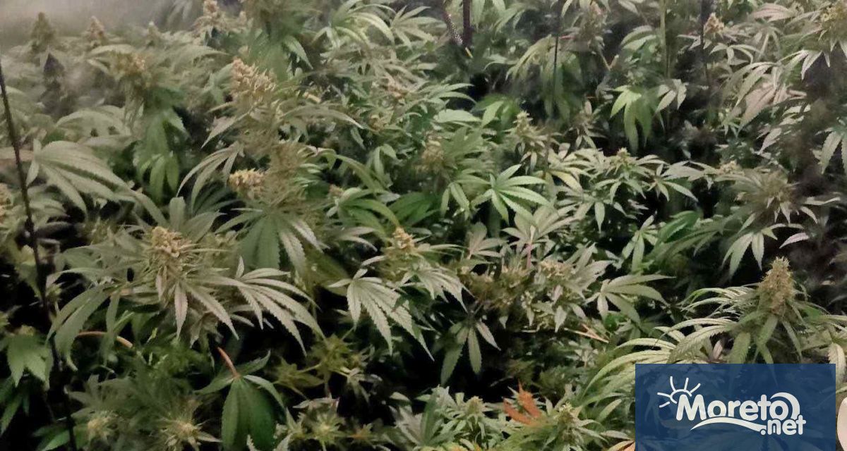 Вчера полицейските екипи са атакували две помещения от имот намиращ