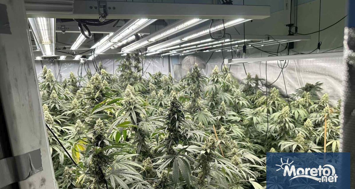 Специализираната полицейска операция за противодействие на производството и разпространението на