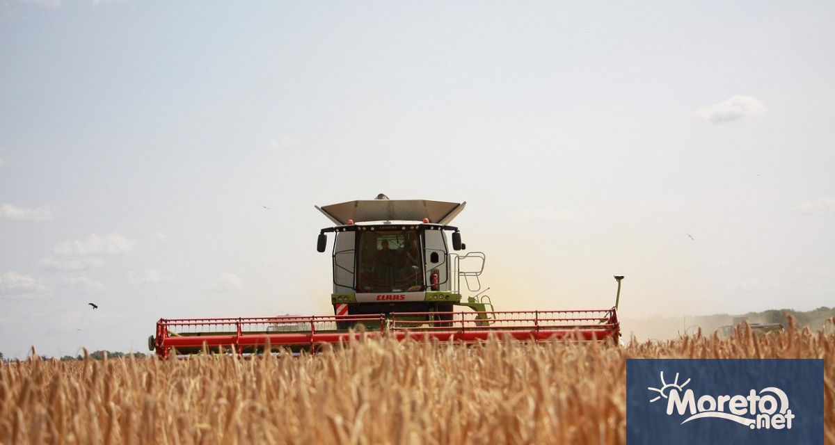 ЕС се готви да наложи мита върху вноса на зърно