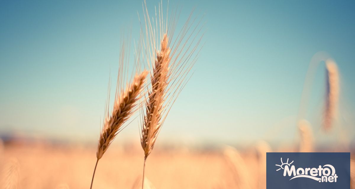 Асоциацията за защита на потребителите предупреди още през април че