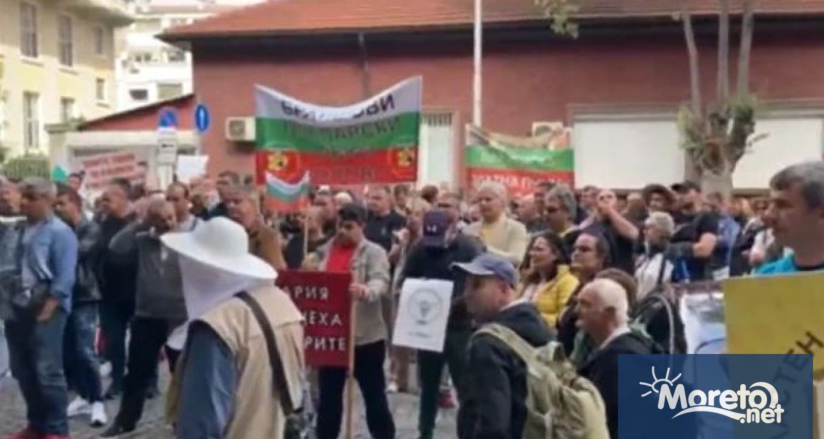 Национален протест на пчеларите се провежда пред Министерството на земеделието