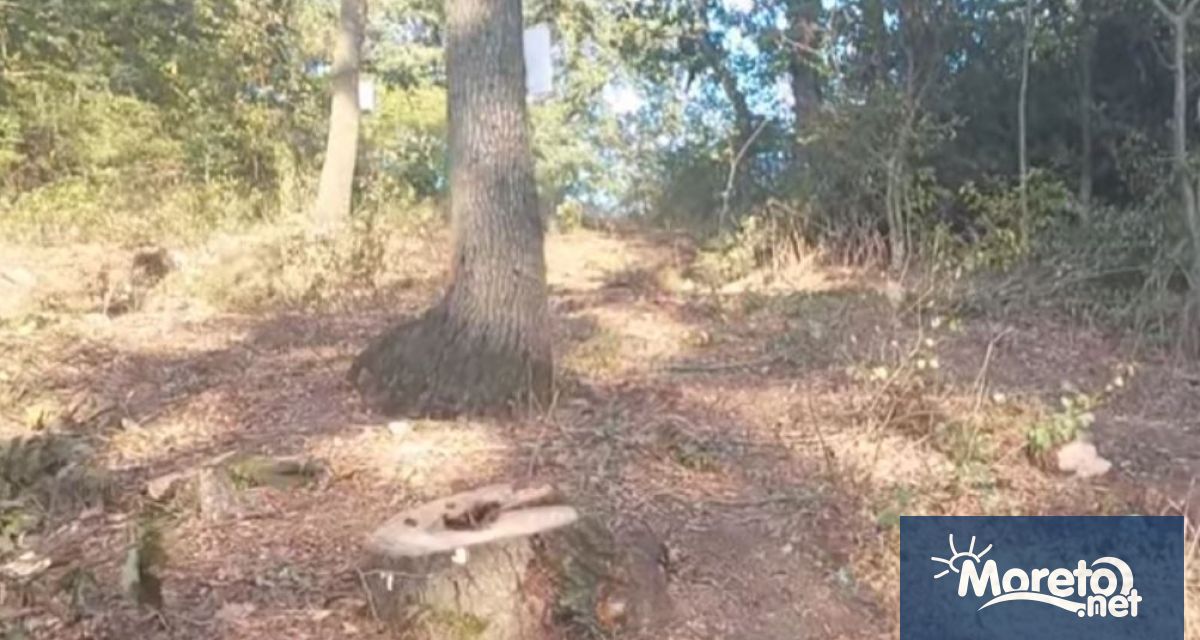 Проверка в горските територии на землището на варненското село Баново