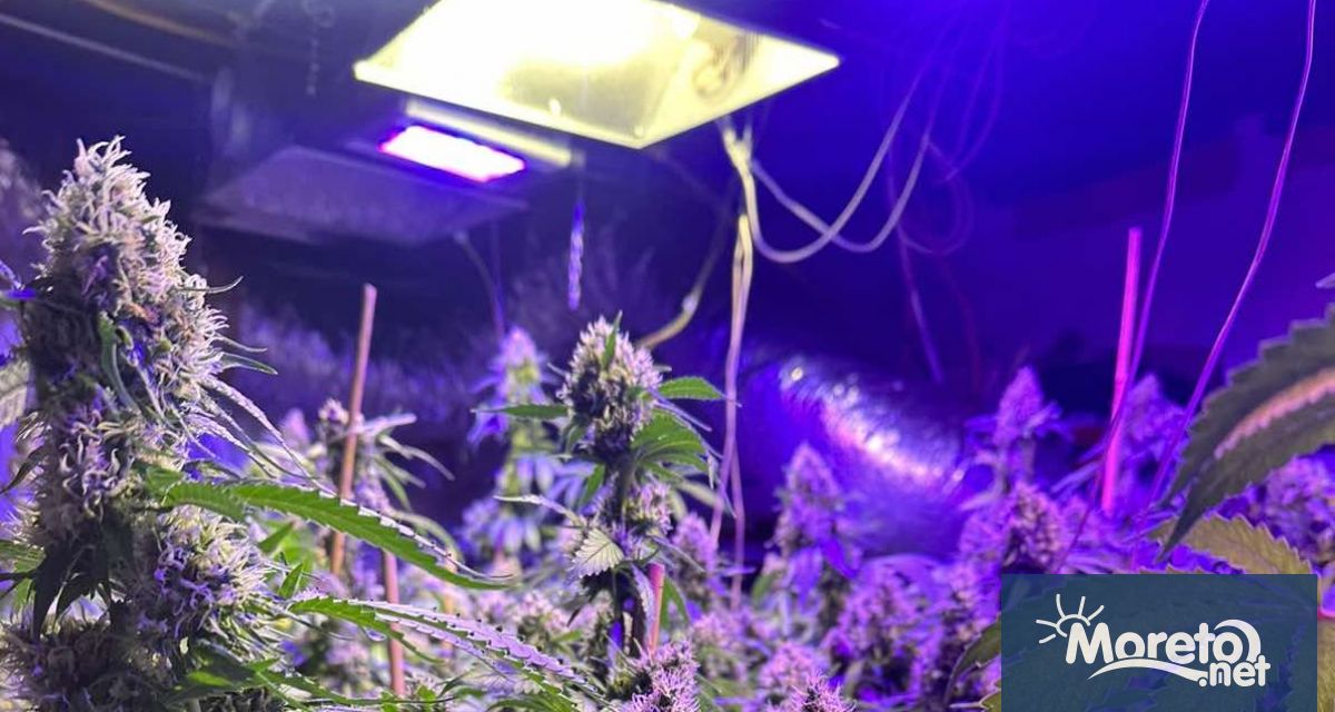 На официална церемония в Министерството на вътрешните работи вчера 19