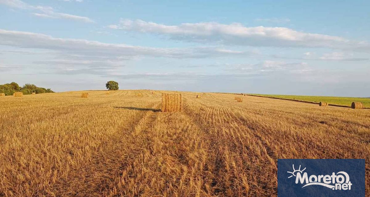 20 годишен неправоспособен шофьор беше задържан след гонка с полицаи край