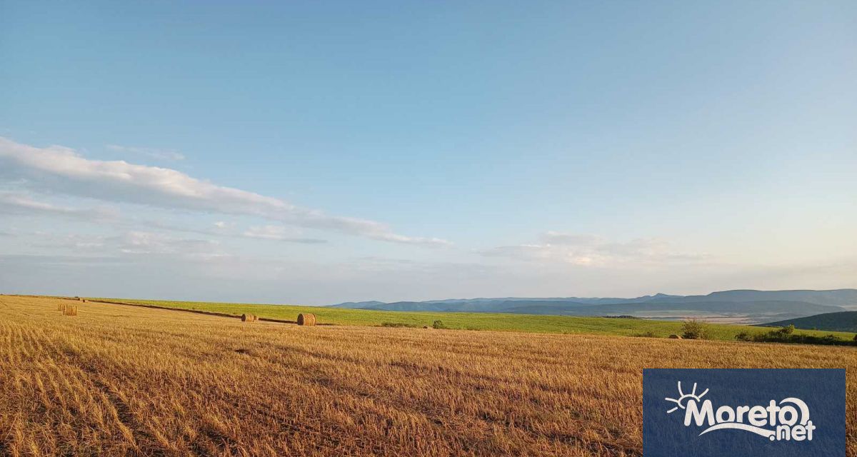 През 2024 г средната цена на сделките с ниви в