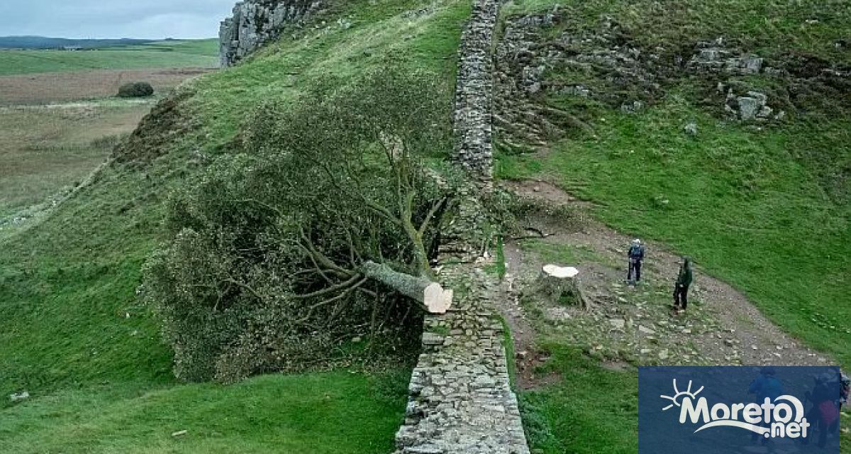 16 годишно момче е арестувано по подозрение в причиняване на престъпни
