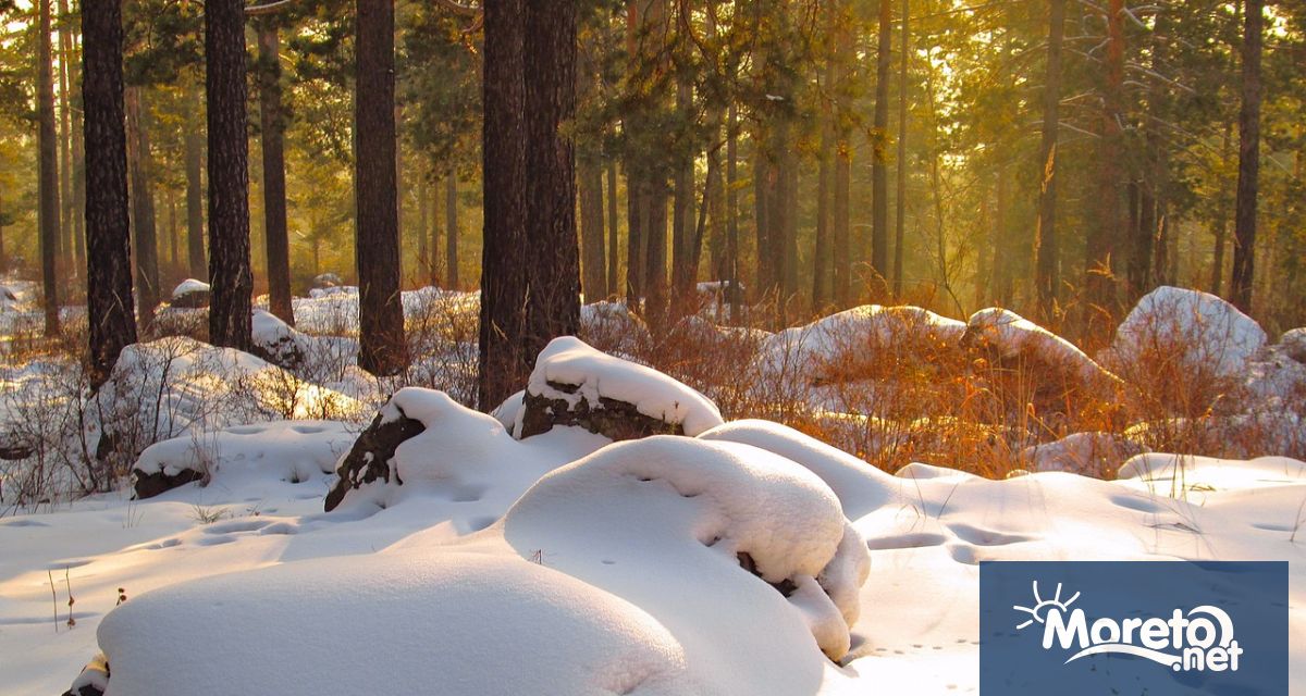 Астрономическата зима ще започне на 22 декември в 05 27 ч