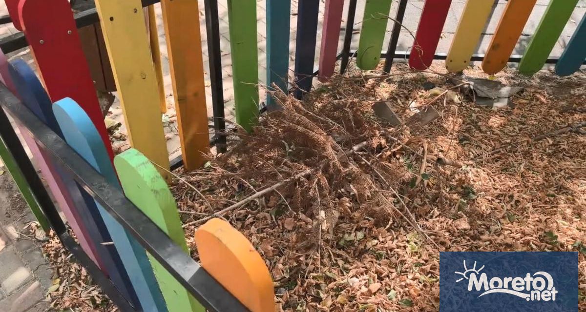 На невероятни находка се натъкна Мария Тодорова на детската площадка