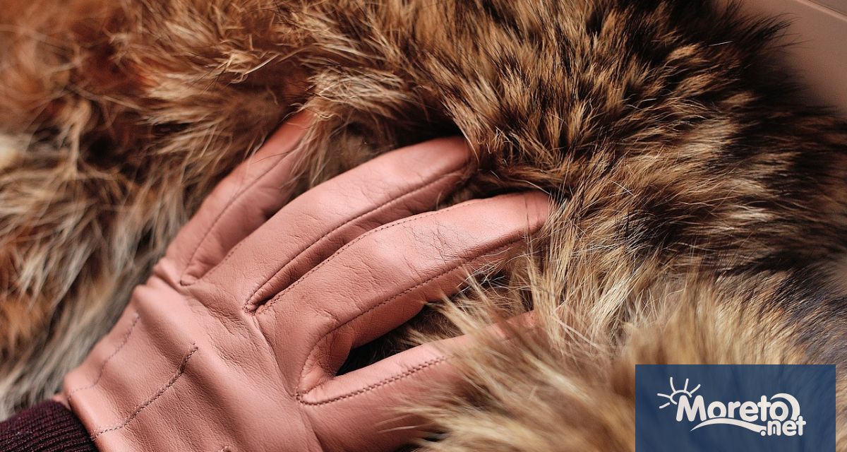 Европейският парламент разглежда петиция призоваваща за забрана на кожите Въпреки