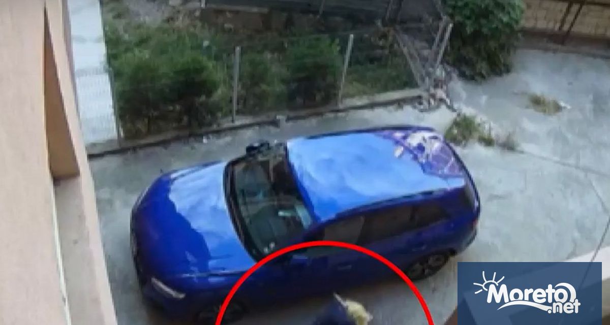 Жена от Благоевград беше жестоко пребита с метален прът пред