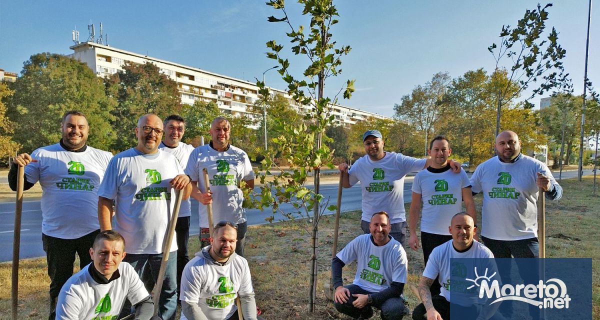 20 чинара бяха засадени от екипа на ресторанти Стария Чинар