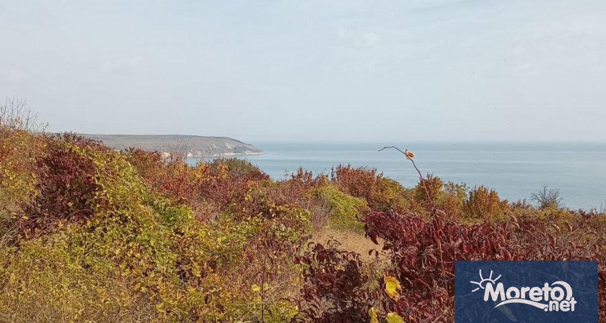 Утре по Черноморието ще преобладава слънчево време но по късно следобед