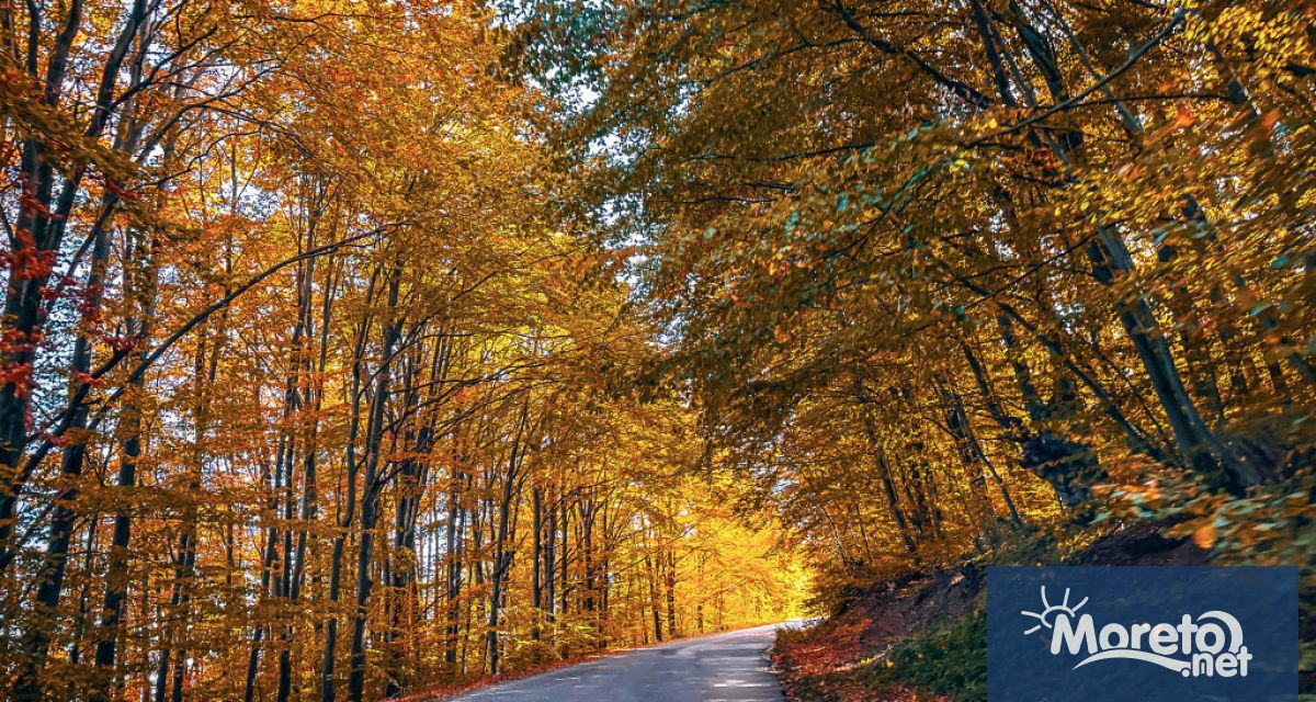 СЪСТОЯНИЕ НА АВТОМАГИСТРАЛИТЕ АМ Хемус Област Шумен Движението при п в Белокопитово в посока