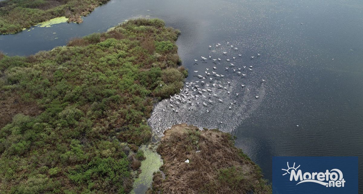 На 3 ноември отбелязваме Международния ден на биосферните паркове За