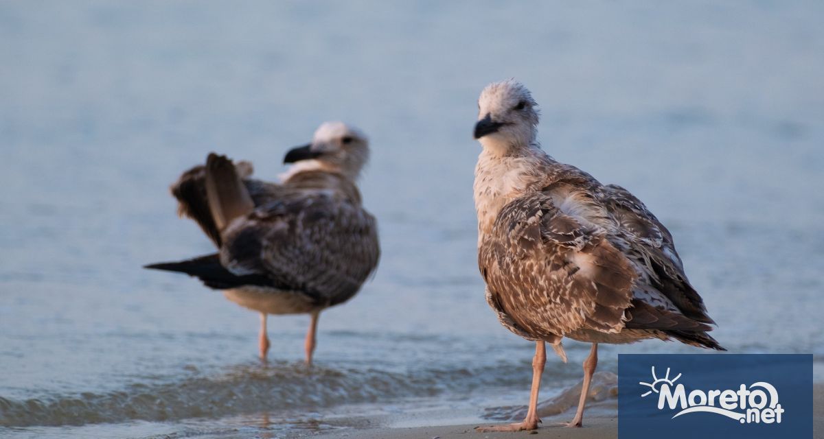 Тази нощ от северозапад на югоизток ще има временни увеличения