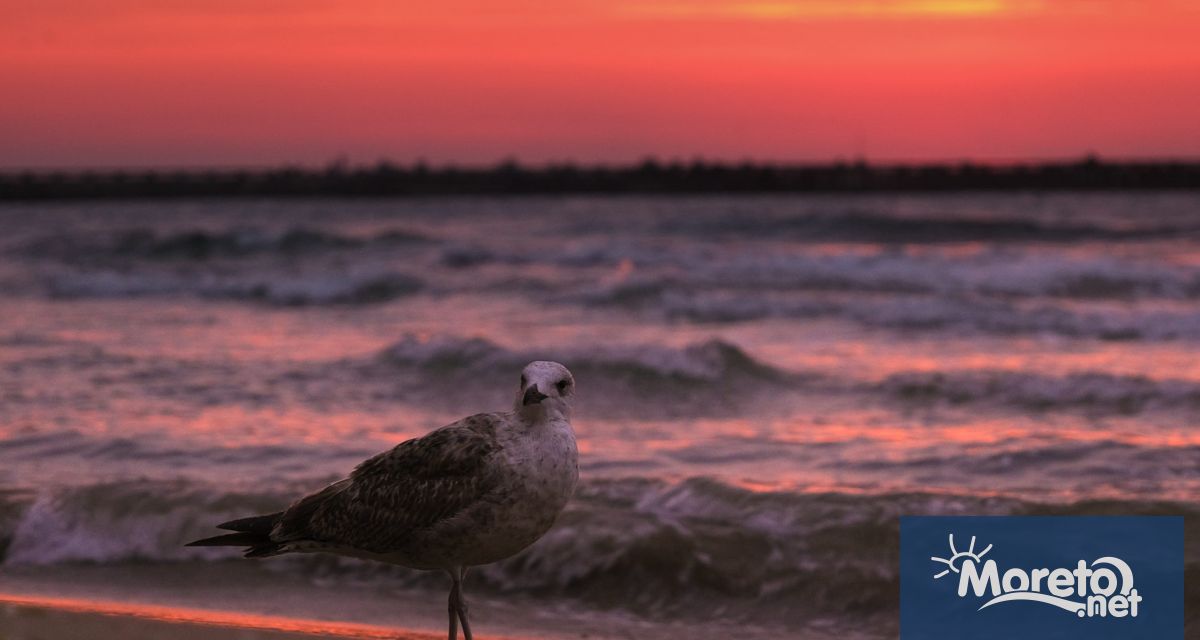 Тази нощ над страната ще бъде предимно ясно но след