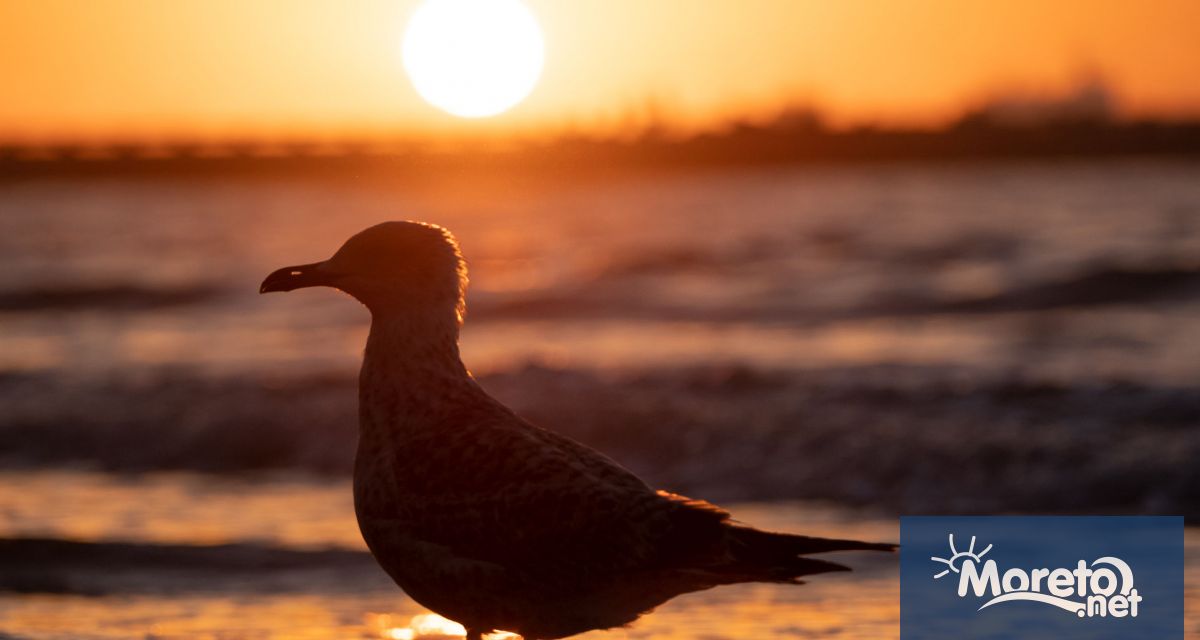 Тази нощ над по голямата част от страната облачността ще намалее