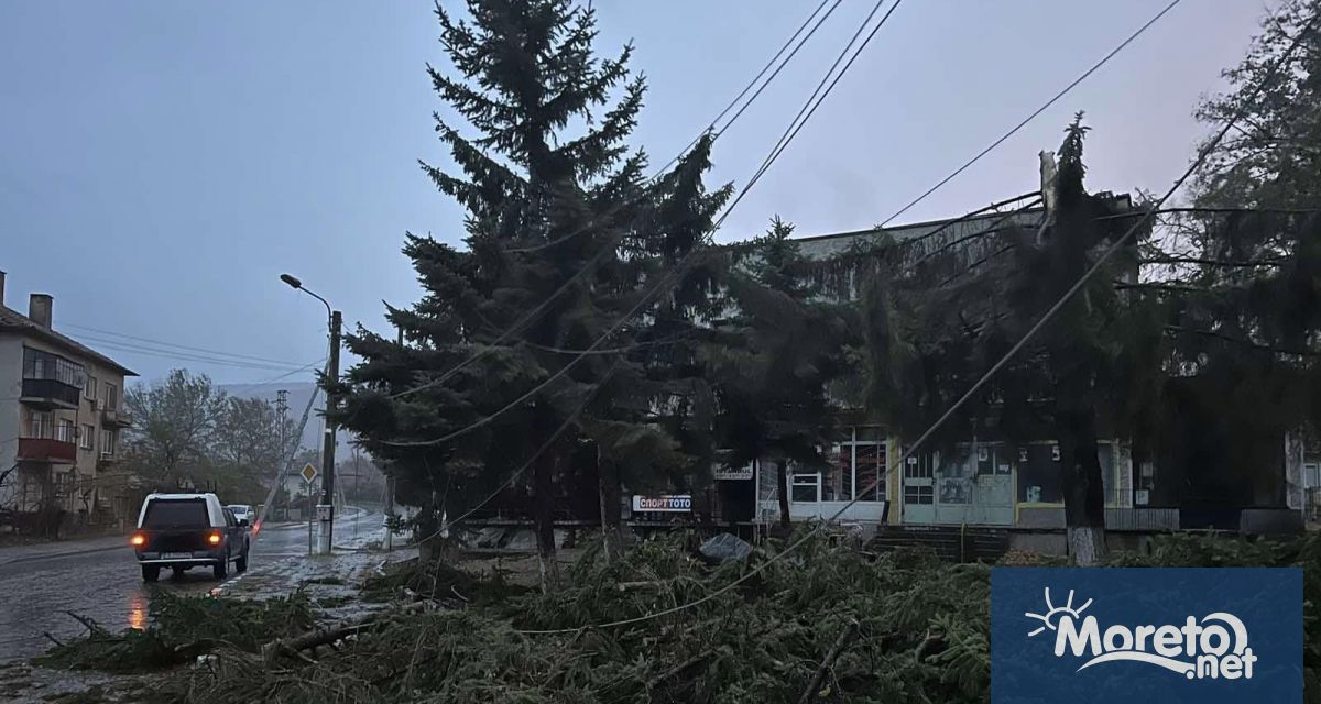 В събота около 13 30 14 00 ч през територията на община Дългопол