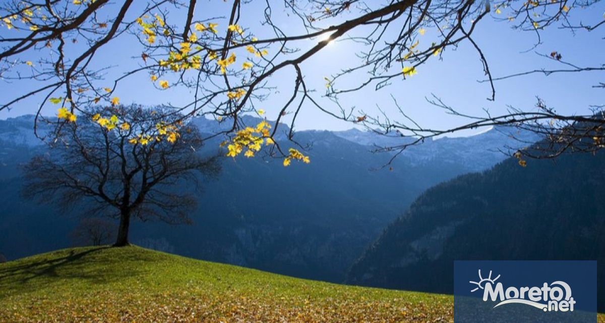 •	Онлайн форматът дава възможност за участие на деца и младежи